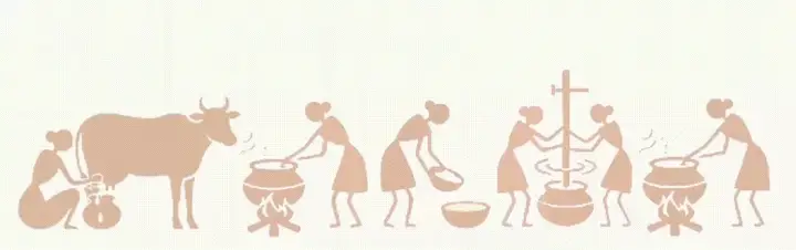 AKC A2 Milk Collection & Processing